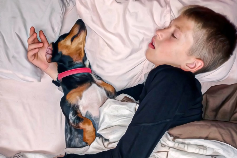 Digital Pet Portrait - Michigan Rockin' Dachshunds