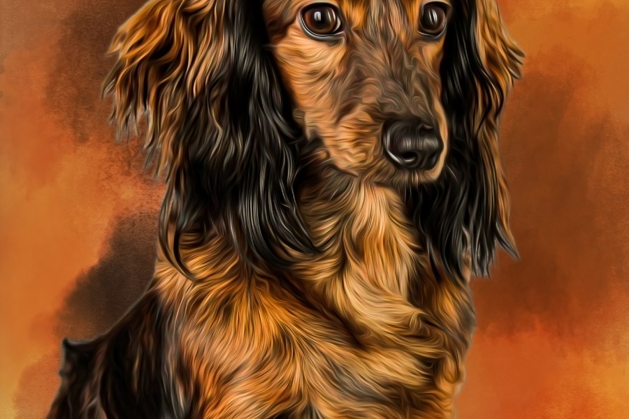 Digital Pet Portrait - TLC Dachshunds